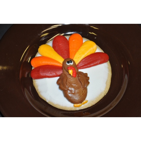 Thanksgiving Decorated Cookie- Turkey